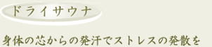 埼玉スポーツセンターサイスポにいざ温泉ドライサウナ説明